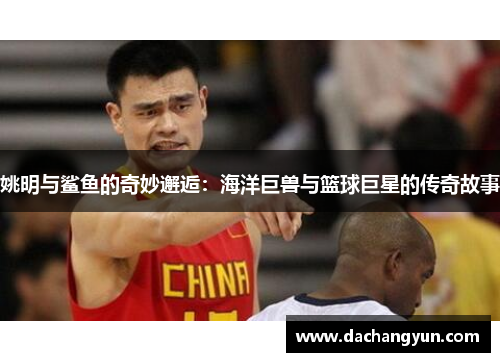 姚明与鲨鱼的奇妙邂逅：海洋巨兽与篮球巨星的传奇故事