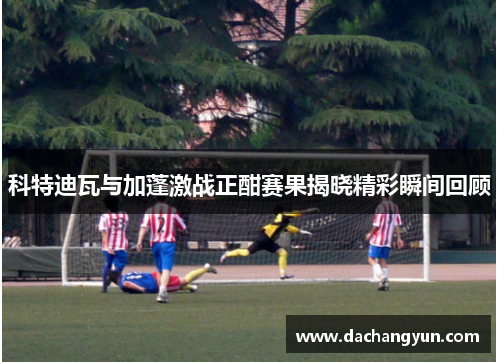 科特迪瓦与加蓬激战正酣赛果揭晓精彩瞬间回顾